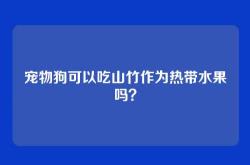 宠物狗可以吃山竹作为热带水果吗？