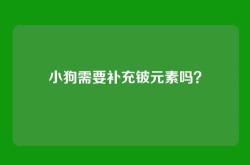 小狗需要补充铍元素吗？