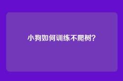 小狗如何训练不爬树？