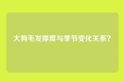 大狗毛发厚度与季节变化关系？