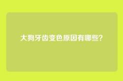 大狗牙齿变色原因有哪些？