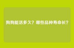 狗狗能活多久？哪些品种寿命长？