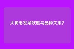 大狗毛发柔软度与品种关系？
