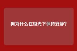 狗为什么在极光下保持安静？