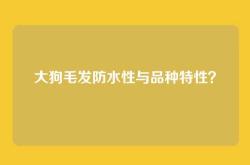 大狗毛发防水性与品种特性？