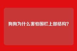 狗狗为什么害怕围栏上部结构？
