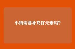 小狗需要补充钌元素吗？