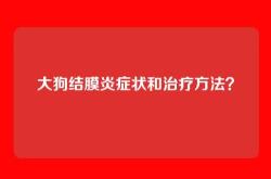 大狗结膜炎症状和治疗方法？