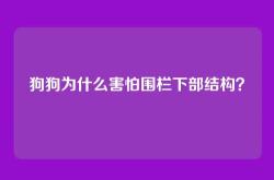 狗狗为什么害怕围栏下部结构？