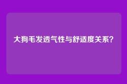 大狗毛发透气性与舒适度关系？