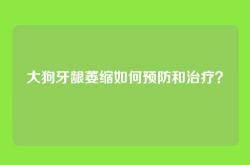 大狗牙龈萎缩如何预防和治疗？