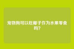 宠物狗可以吃椰子作为水果零食吗？