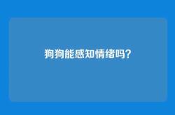 狗狗能感知情绪吗？