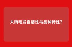 大狗毛发自洁性与品种特性？