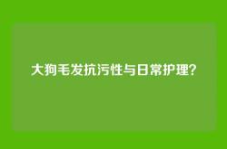 大狗毛发抗污性与日常护理？