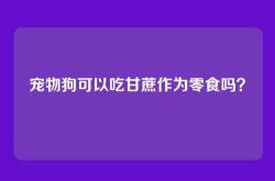 宠物狗可以吃甘蔗作为零食吗？
