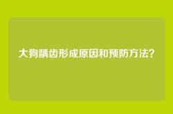 大狗龋齿形成原因和预防方法？
