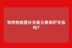 宠物狗需要补充氟元素保护牙齿吗？