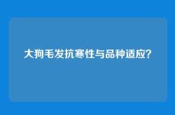 大狗毛发抗寒性与品种适应？