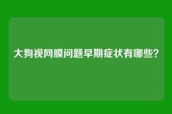 大狗视网膜问题早期症状有哪些？