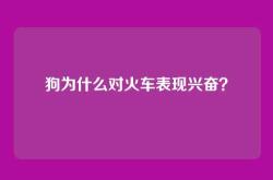 狗为什么对火车表现兴奋？