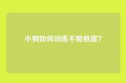 小狗如何训练不爬悬崖？