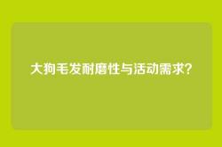 大狗毛发耐磨性与活动需求？