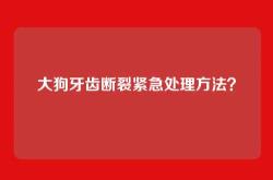 大狗牙齿断裂紧急处理方法？