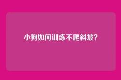小狗如何训练不爬斜坡？