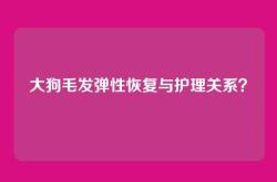 大狗毛发弹性恢复与护理关系？