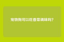 宠物狗可以吃香菜调味吗？