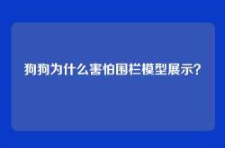 狗狗为什么害怕围栏模型展示？