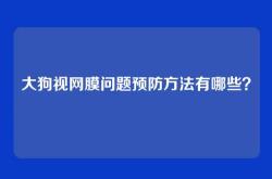 大狗视网膜问题预防方法有哪些？