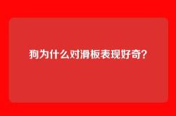 狗为什么对滑板表现好奇？