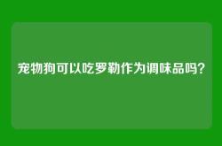 宠物狗可以吃罗勒作为调味品吗？