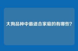 大狗品种中最适合家庭的有哪些？