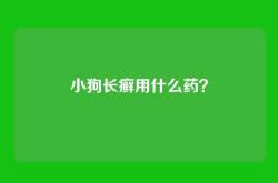 小狗长癣用什么药？