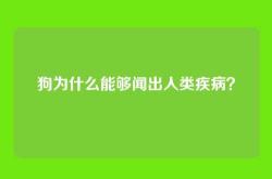 狗为什么能够闻出人类疾病？