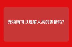 宠物狗可以理解人类的表情吗？