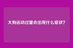 大狗运动过量会出现什么症状？