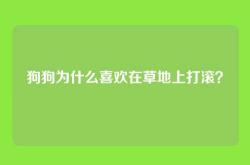 狗狗为什么喜欢在草地上打滚？