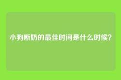 小狗断奶的最佳时间是什么时候？