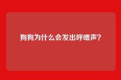狗狗为什么会发出呼噜声？