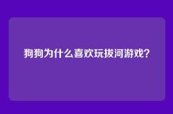 狗狗为什么喜欢玩拔河游戏？
