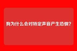 狗为什么会对特定声音产生恐惧？