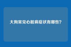 大狗常见心脏病症状有哪些？