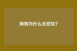 狗狗为什么会挖坑？