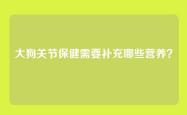 大狗关节保健需要补充哪些营养？