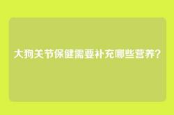 大狗关节保健需要补充哪些营养？