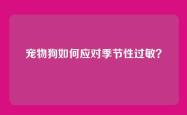 宠物狗如何应对季节性过敏？